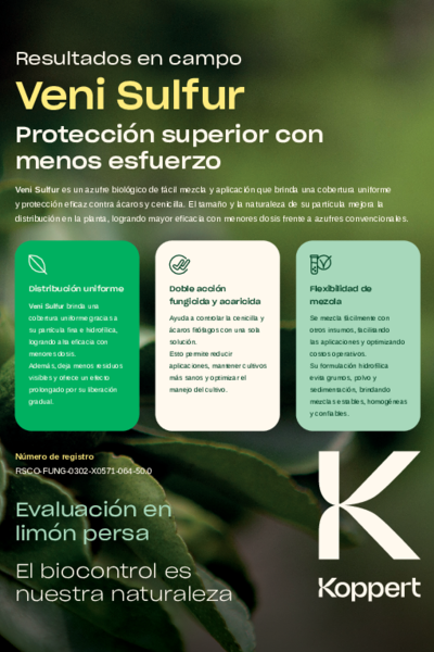 Veni Sulfur en cultivo de limón persa