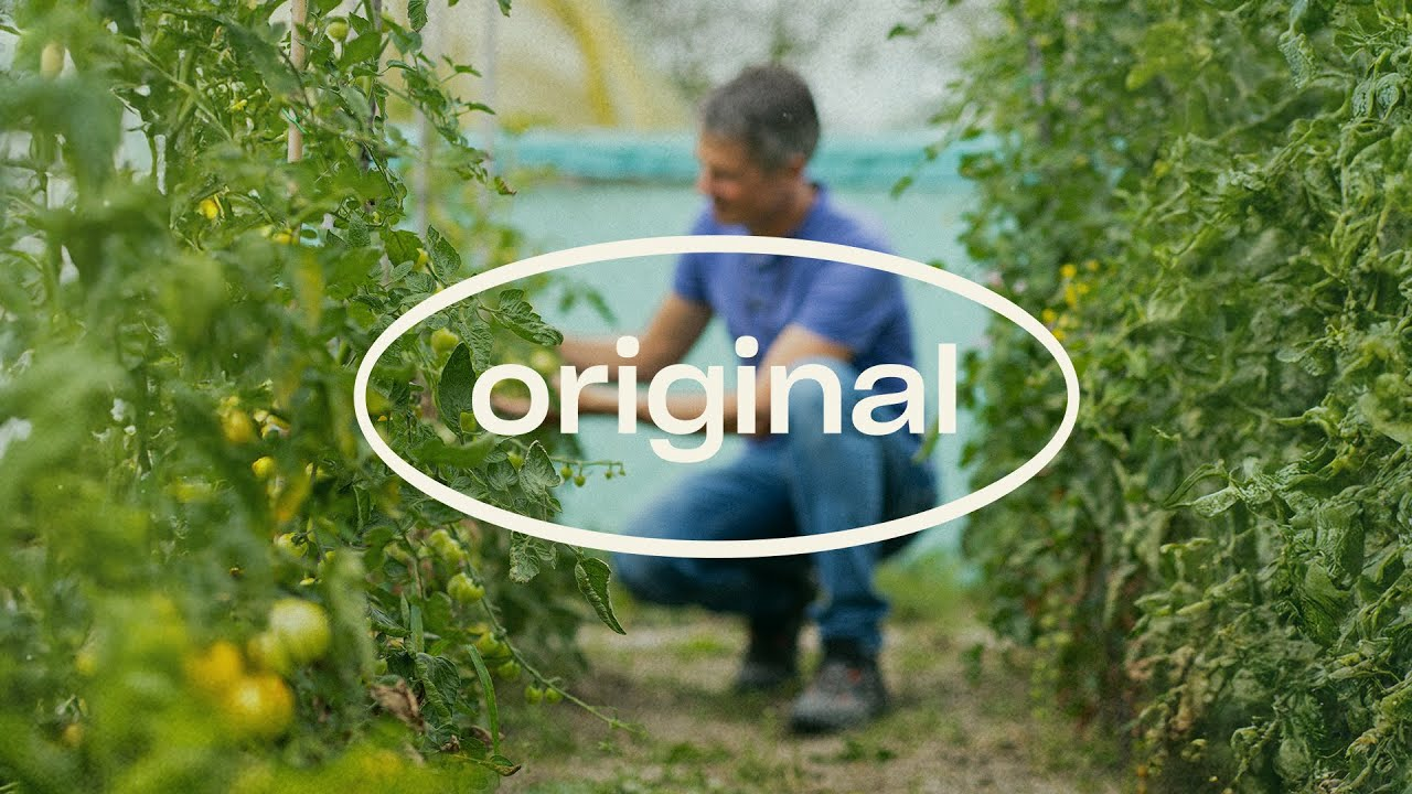 Tom Groot - Historias originales sobre ácaros depredadores