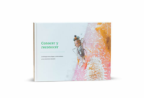 Conocer y reconocer