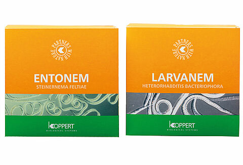 Una presentación jumbo para nuestros pequeños héroes