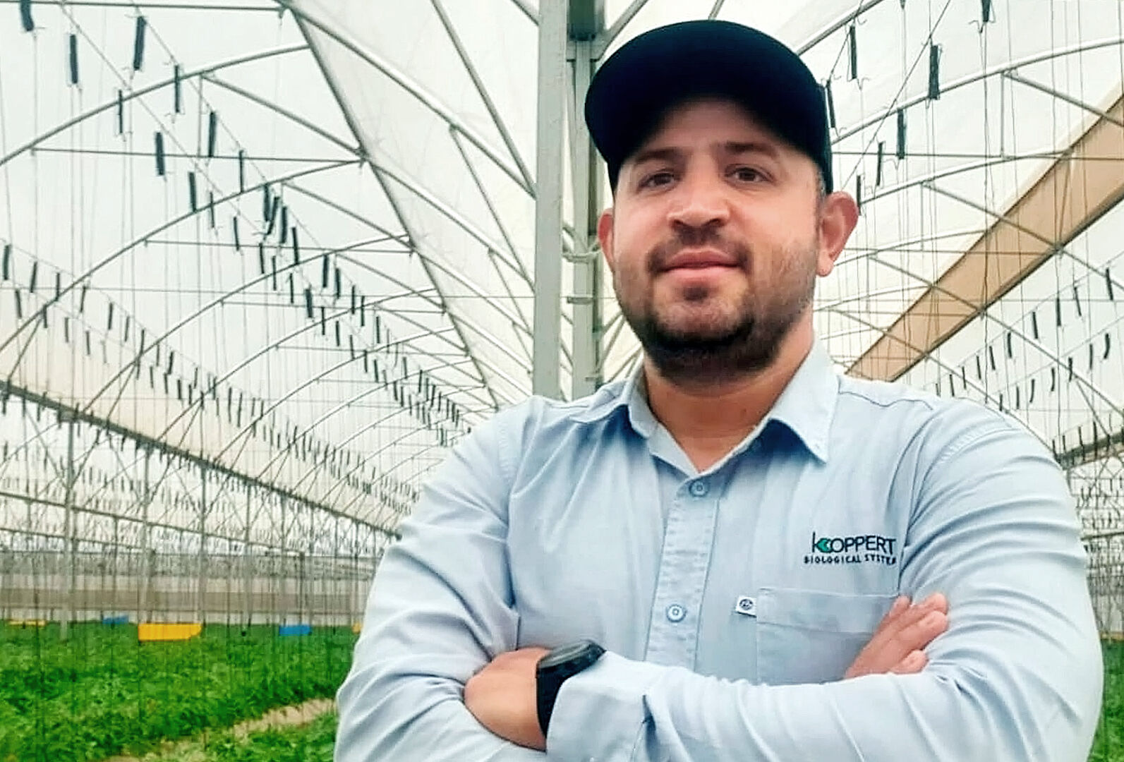 La importancia de la desinfección del sustrato con MicroClean