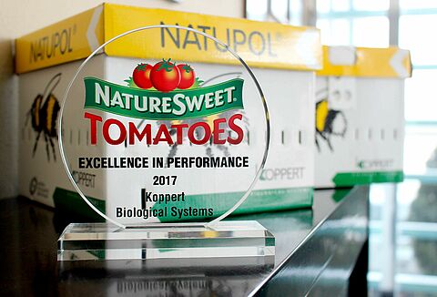 NatureSweet otorga el reconocimiento “Excellence in performance” a Koppert México
