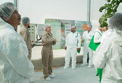 Demo Greenhouse