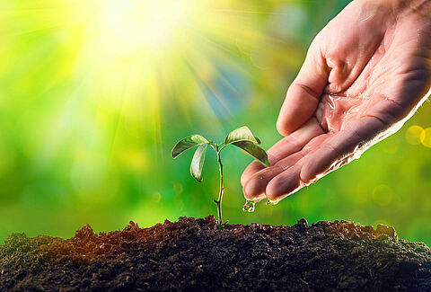 Llega la segunda edición de la serie de webinarios «Plantas para la vida, plantas para sobrevivir»