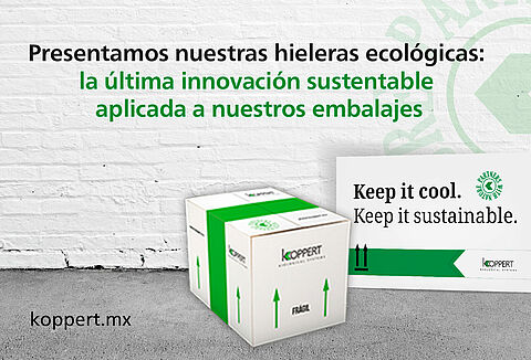 Koppert introduce hieleras 100% reciclables para el transporte de sus soluciones biológicas