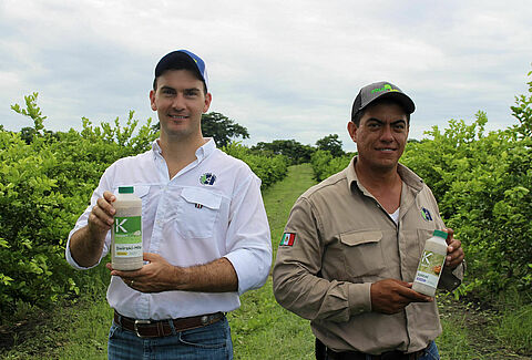 Control biológico en limón: Agrícola Carus Abella da un paso adelante