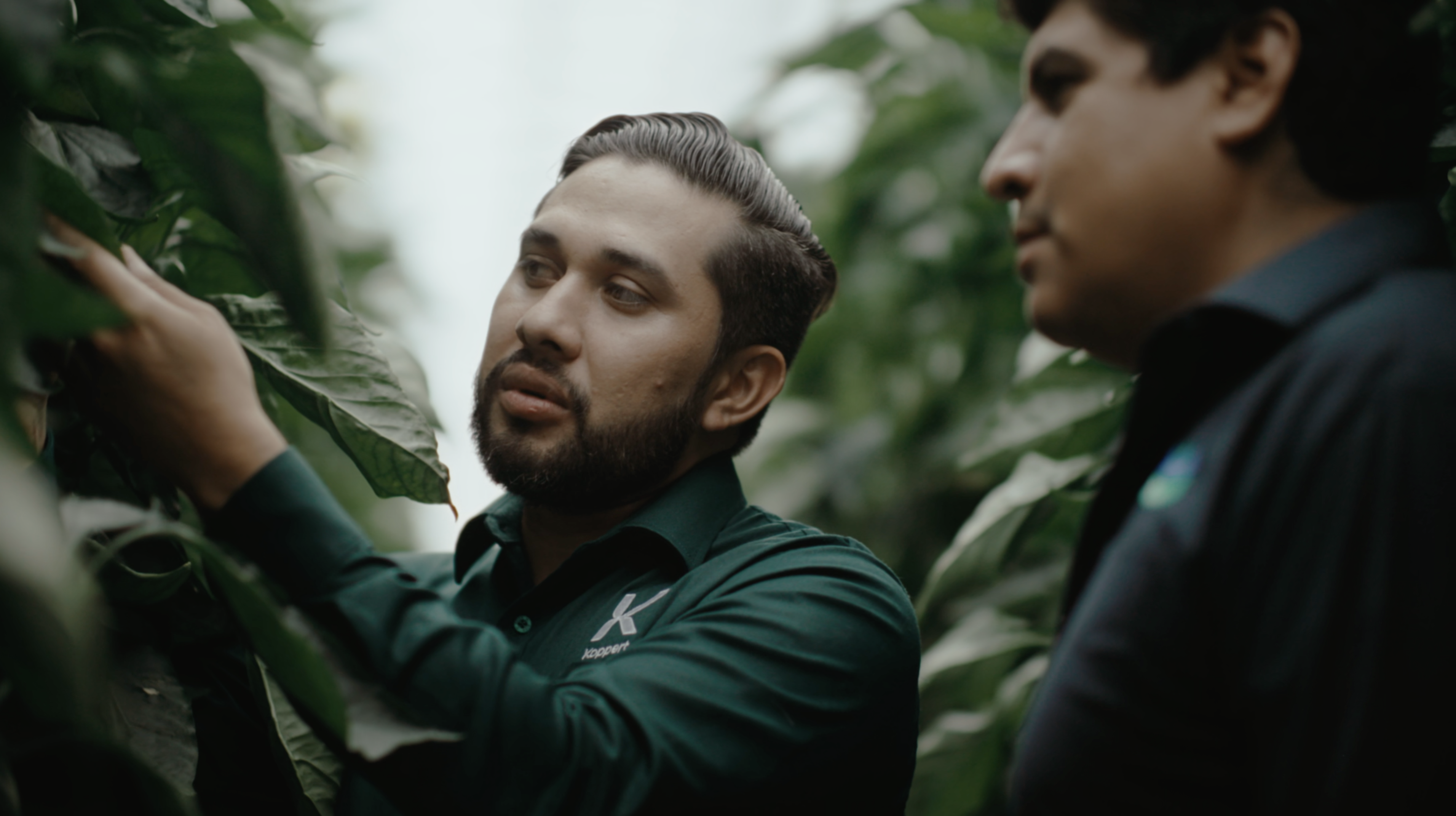 La Hacienda Fresh aumenta la rentabilidad de su cultivo gracias al control biológico