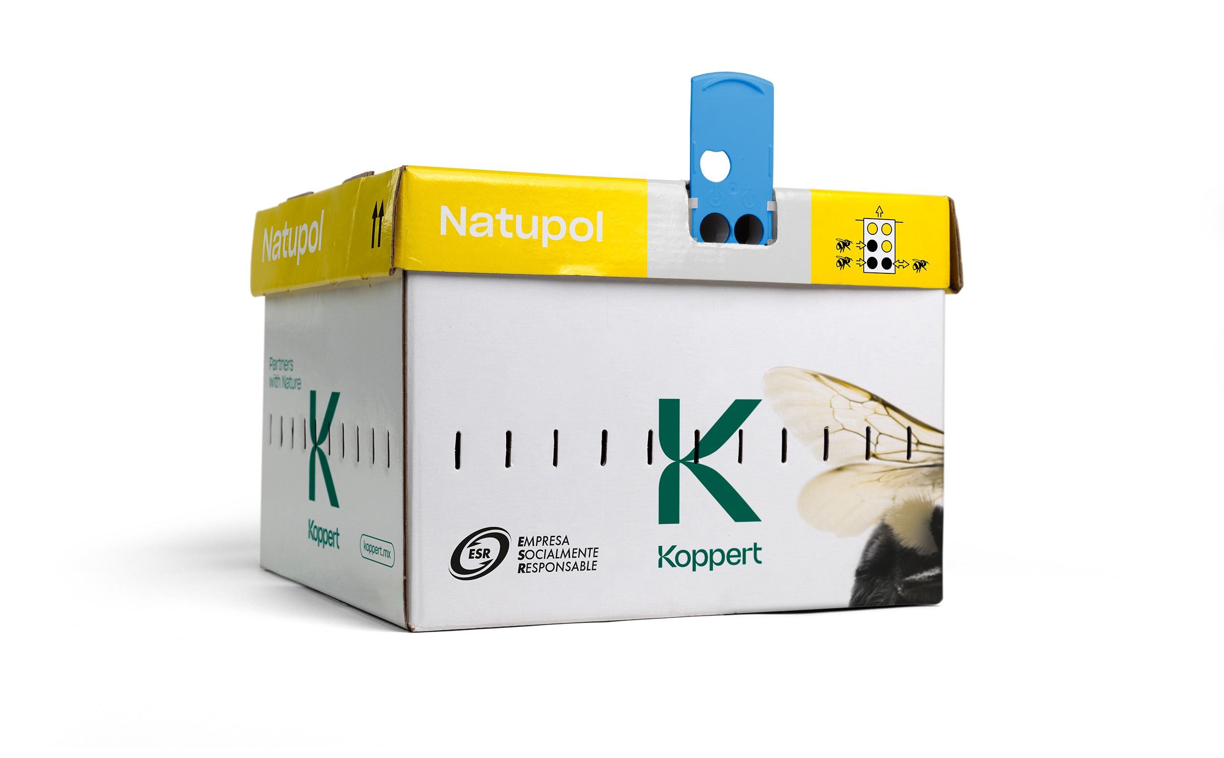 Descubre la nueva imagen de nuestras colmenas y sus mejoras aplicadas