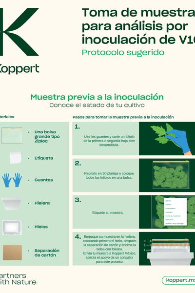 Manual toma de muestras V10