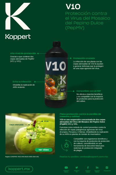 Póster V10